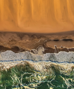 Opposing Forces - aerial