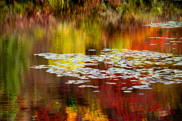 Autumn Reflections Print