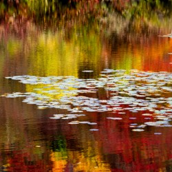 Autumn Reflections