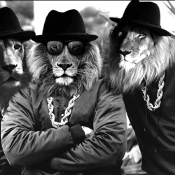 JUST DADDY Lion Gang