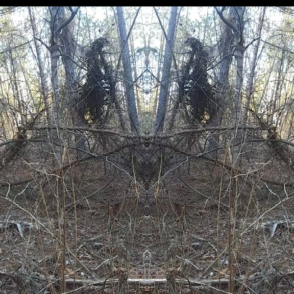 Mulekicked Print