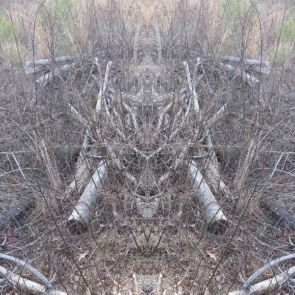 Deforestation Print