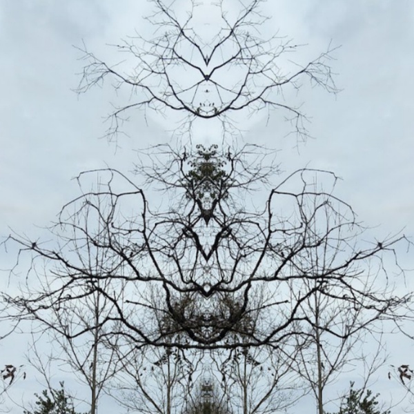 Floating hed by Abstracted Arts 