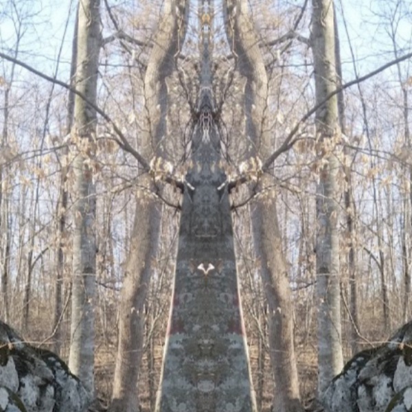 Woodaward  by Abstracted Arts 