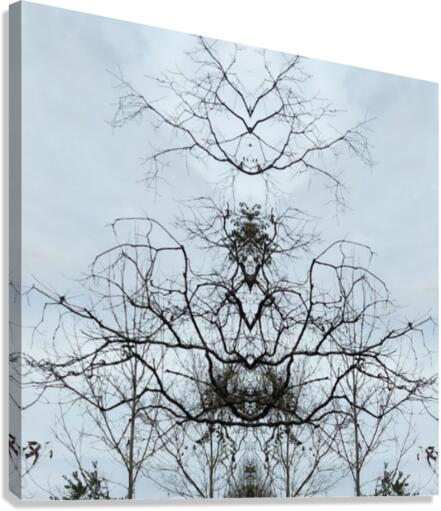 Floating hed Canvas Print