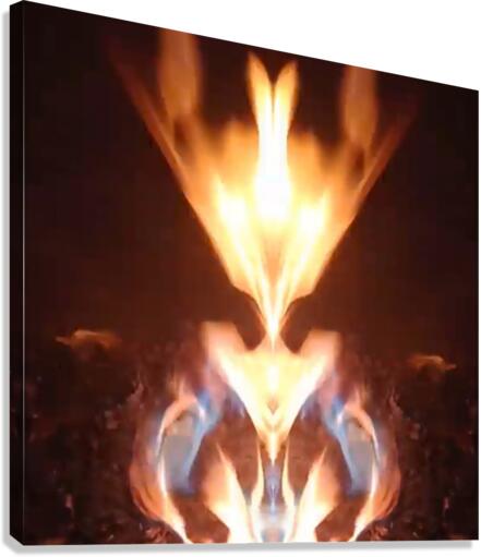 Bludebil  Canvas Print