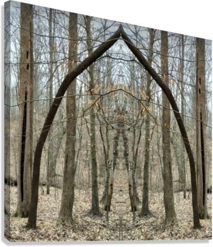 Arches Canvas Print