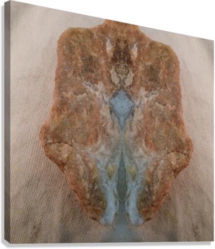 image3A4 Canvas Print
