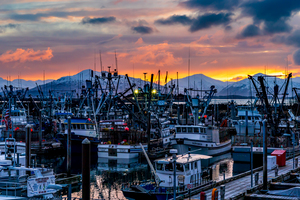 St Paul Harbor Kodiak Alaska