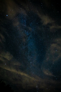 Stary Night