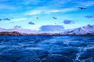 Bright Blue Morning