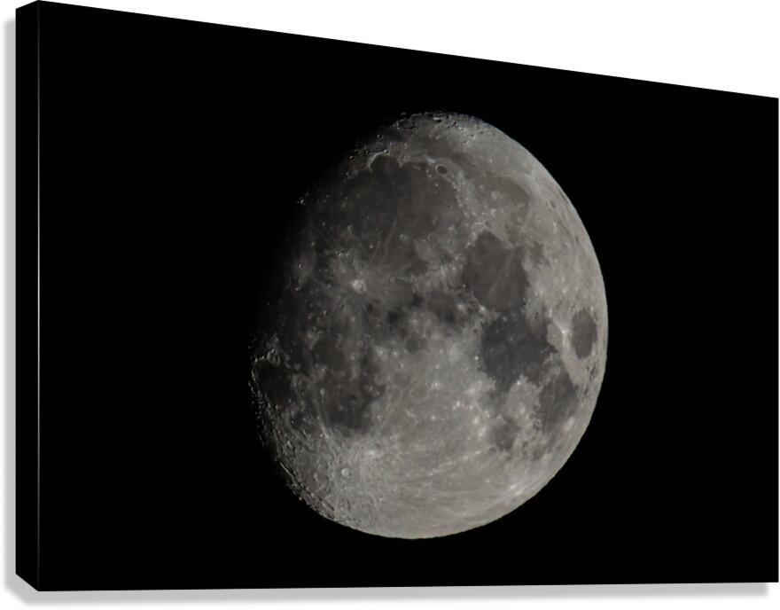 Moon Canvas Print