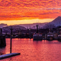 St Paul Harbor Sunset