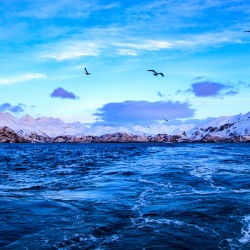 Bright Blue Morning