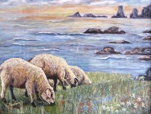 Moutons a Bonavista Terre-Neuve