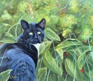 Chat errant dans mes framboisiers 