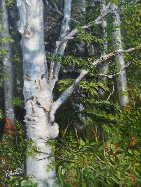 Bouleau dans ma foret by Kellerstein
