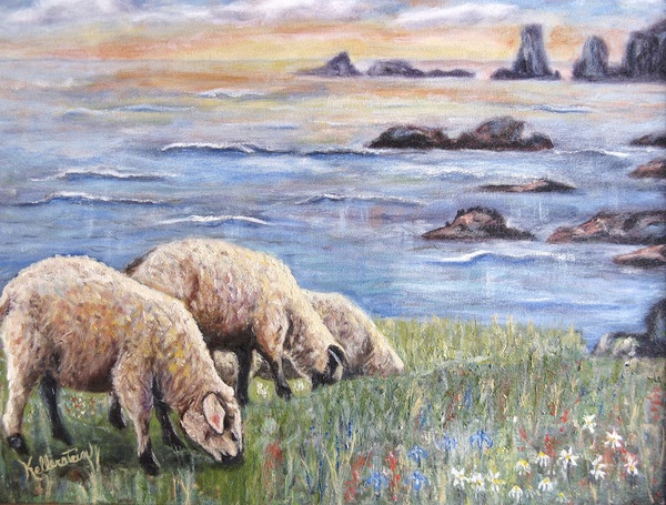 Moutons a Bonavista Terre-Neuve by Kellerstein