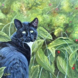 Chat errant dans mes framboisiers 