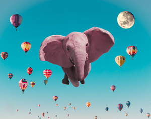 Pink Elephant
