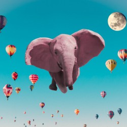 Pink Elephant