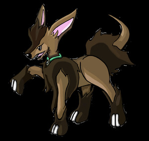 Chiwuahun