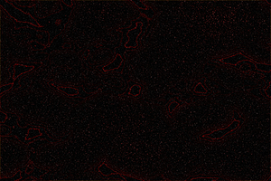 Lava