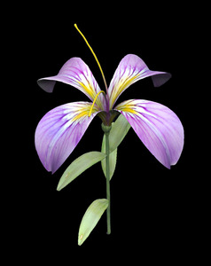 PurpleFlower