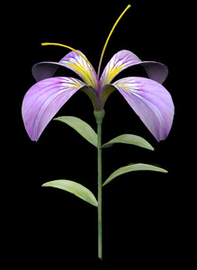 PurpleFlower2
