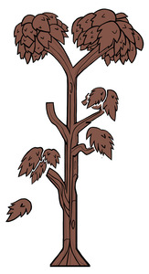 TreesTrans
