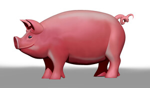 pignew