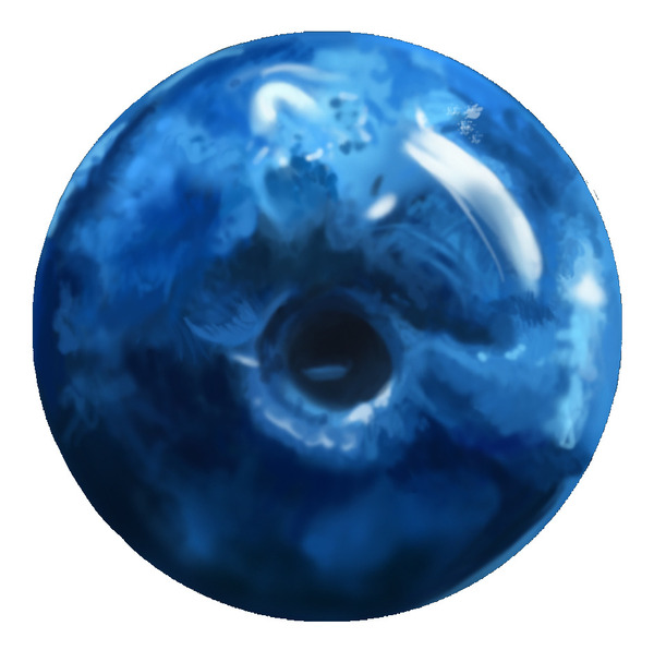 Blueberry Print
