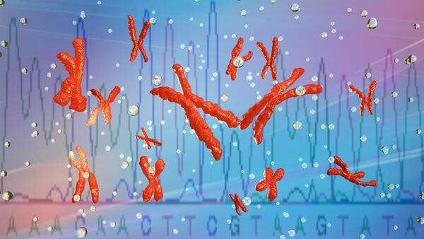 Chromosomes Print