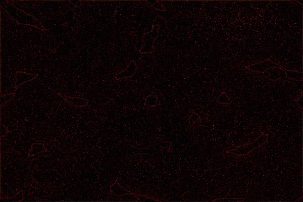 Lava2 Print