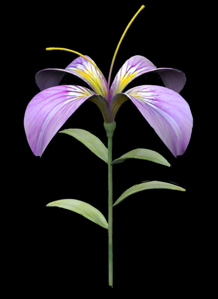 PurpleFlower2 Print