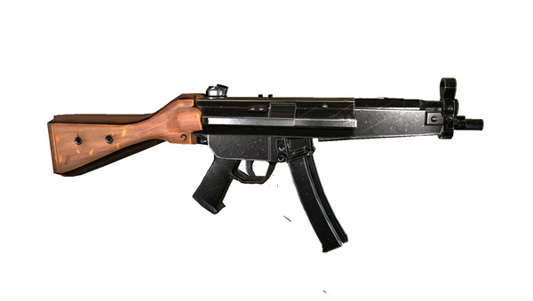 Rifle Print