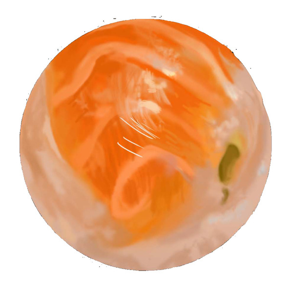 Sushi Print