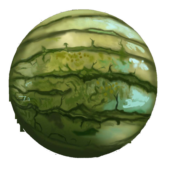 Watermelon Print