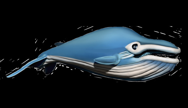 Whale2 Print