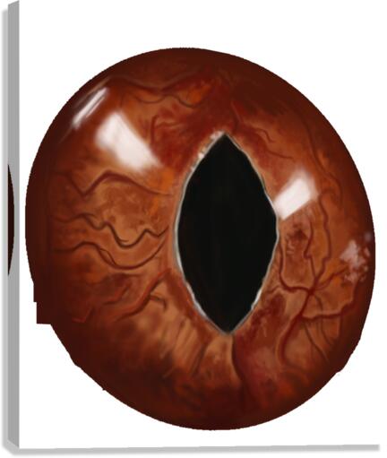 CatEyes Canvas Print