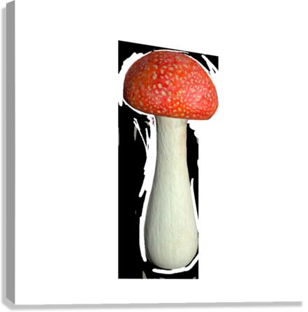 Mushroom4 Canvas Print