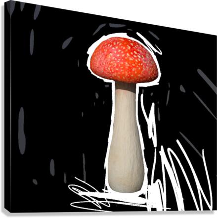 Mushroom3 Canvas Print