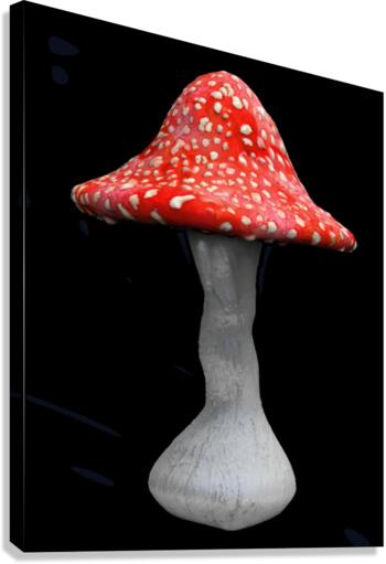 Mushroom2 Canvas Print