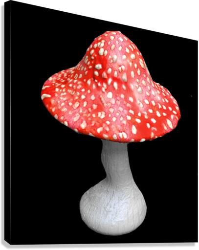 Mushroom Canvas Print