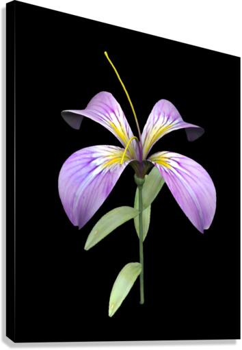 PurpleFlower Canvas Print