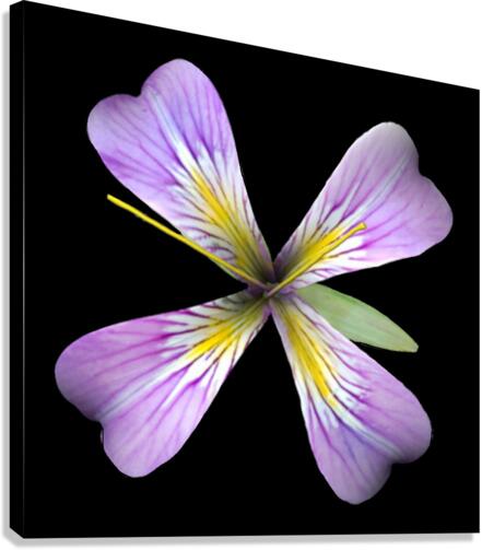 PurpleFlower3 Canvas Print