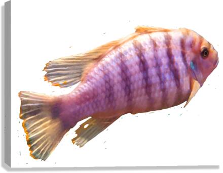 PurpleFish Canvas Print