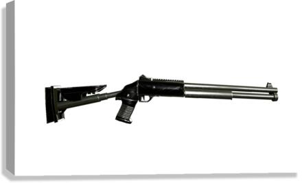 Shotgun Canvas Print