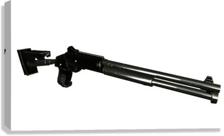 Shotgun2 Canvas Print