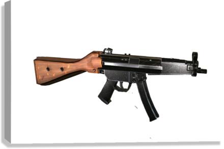 Rifle Canvas Print
